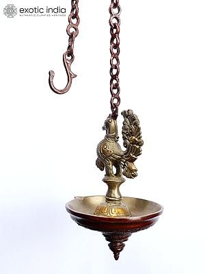 8" Wall Hanging Peacock Lamp in Brass