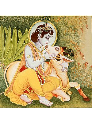 Krishna The Lover of Cows