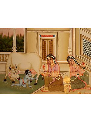Krishna's Cow Feeds Him Milk