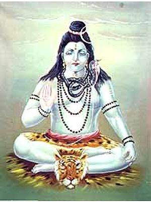 Meditating Shiva