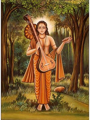 Saints of India - Devarishi Narad