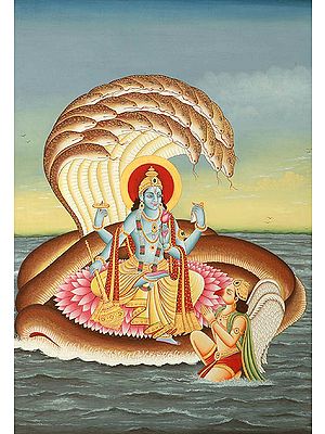 Shri Narayana on Shesha Venerated by Garuda