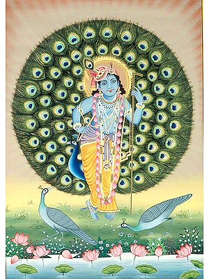 Standing Krishna with Aureole of Peacock Feathers