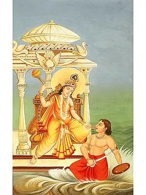 The Ten Mahavidyas - Bagalamukhi