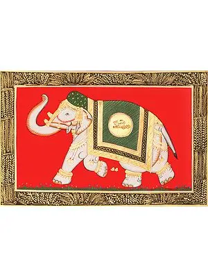 A Royal Decorated Elephant