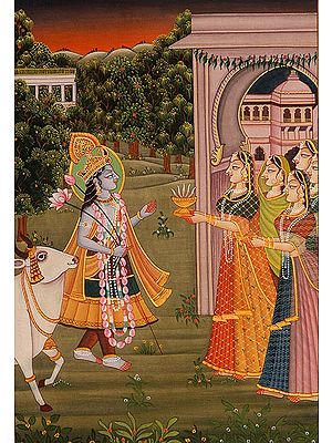 When He Comes Back in the Evening After Grazing the Cows