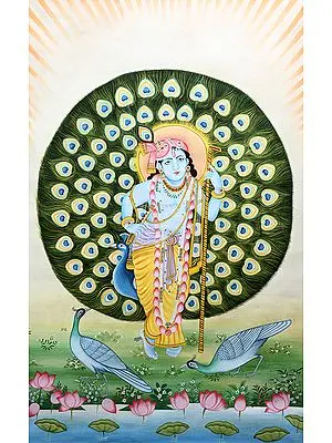 Lord Krishna in the Backdrop of Peacock Features Aureole