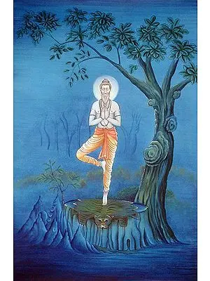 Yogi