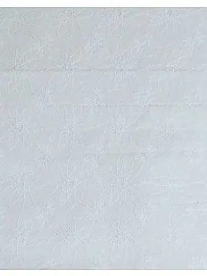 White Fabric with Lukhnavi Chikan Embroidery