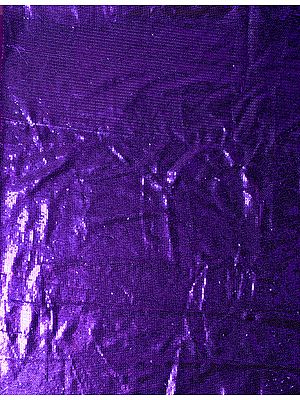 Densely Sequined Fabric