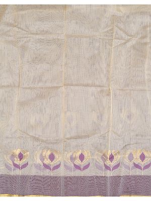 Ivory Net Fabric from Banaras with Flowers on Border