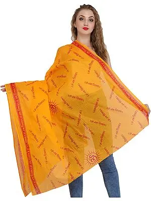 ओम नमः शिवाय (OM Namah Shivaya) Prayer Shawl