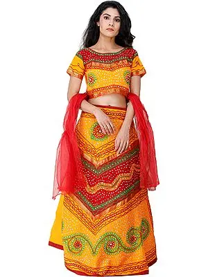 Lehenga Choli from Rajasthan with Thread Embroidery and Large Sequins