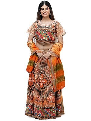 Embroidered Lehenga Choli from Jodhpur with Hand-Embroidered Beads and Mirrors