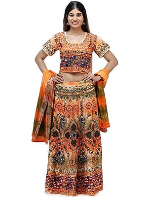 Embroidered Lehenga Choli from Jodhpur with Hand-Embroidered Beads and Mirrors