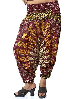 Printed Maroon Harem Trousers