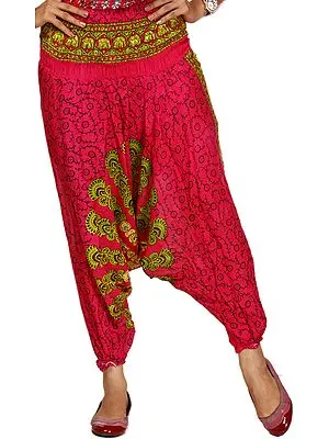 Magenta Harem Trousers with Printed Motifs