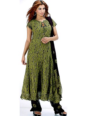 Olive Green and Black Flair Suit with Gloden Sequins