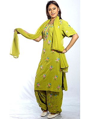 Pear-Green Salwar Kameez Suit with Aari-Embroidered Flowers All-Over