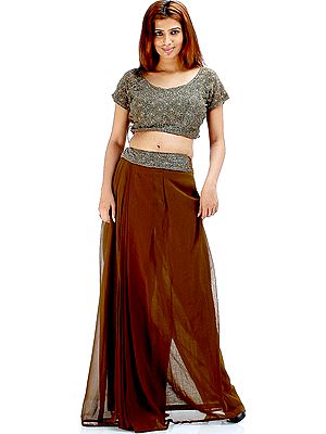 Sepia Readymade Sari Suit with Heavy Beadwork on Choli