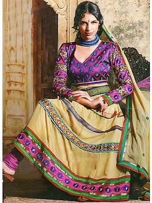 Fall-Leaf Anarkali Kameez Suit with Thread Weave on Neck and PatchWork