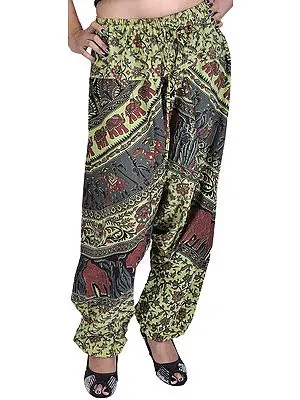 Sap-Green Harem Trousers from Pilkhuwa with Printed Camels and Elephants