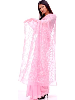 Baby-Pink Lukhnavi Chikan Sari