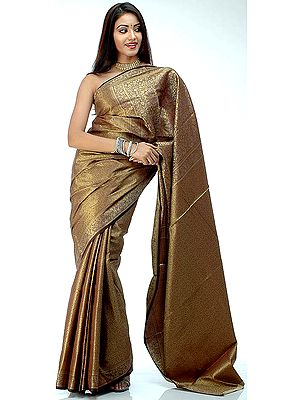 Banarasi Jamawar Sari with Dense Tanchoi Weave