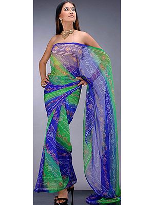 Bandhini Dyed Chiffon Sari from Gujarat