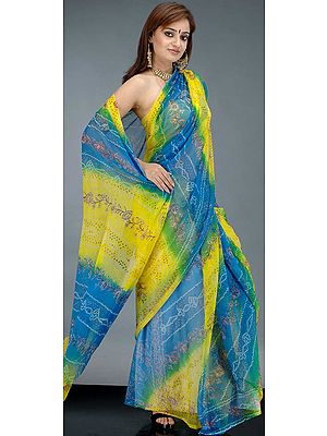 Bandhini Dyed Chiffon Sari from Gujarat