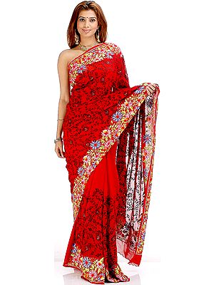 Bridal Red Sari with Persian Embroidery