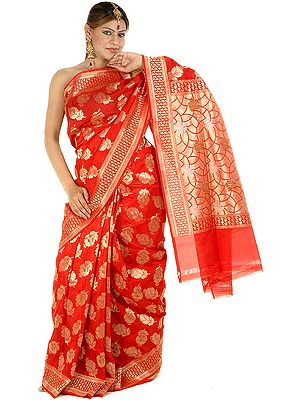 Bridal Red Jamdani Sari with All-Over Hand-Woven Flowers in Golden Thread