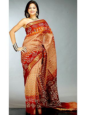 Brown Gharchola Sari from Gujarat
