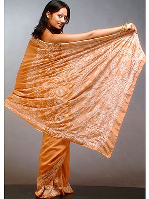 Brown Lukhnavi Chikan Sari