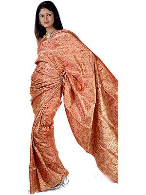 Coral Satin Tanchoi Sari with All-Over Brocade Weave
