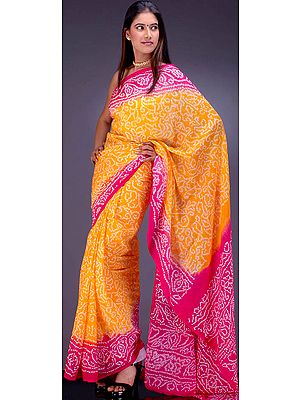 Golden Gharchola Sari with Fuchsia Border and Pallu
