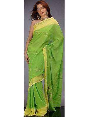 Green and Yellow Sari with Embroidery