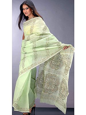Light Green Cotton Sari with Kantha Stitch