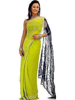Lime Green and Blue Butterfly Sari with Sequins and Threadwork