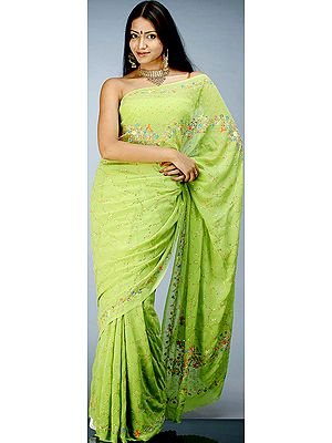 Lime Green Sari with Persian Embroidery