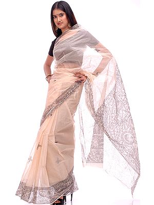 Madhubani Hand Painted Sari