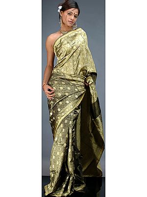 Olive and Golden Banarasi Sari with All-Over Tanchoi Weave