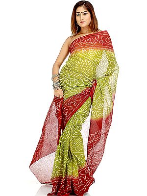 Olive Green Gujarati Bandhani Sari