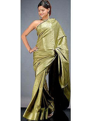 Olive-Green Jamawar Sari with Tanchoi Weave