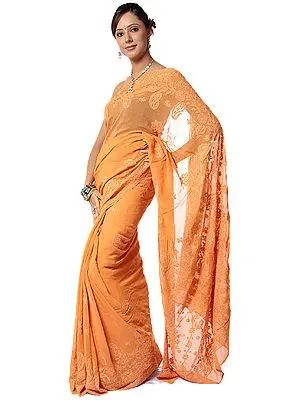 Light-Brown Lukhnavi Chikan Sari with All-Over Embroidery by Hand