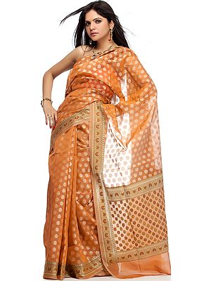 Rust Banarasi Sari with All-Over Weave and Meenakari Anchal