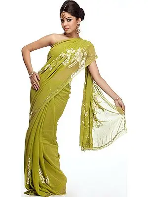 Green Applique Sari from Lucknow with Embroidered Beads