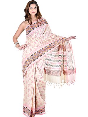 Beige Block-Printed Narayanpet Sari from Hyderabad with Painted Aanchal