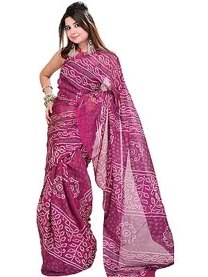 Bandhani Tie-Dye Sari from Jodhpur