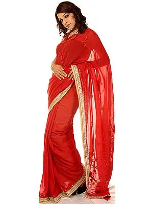 Plain Clay-Red Sari with Embroidered Sequins and Gota Border